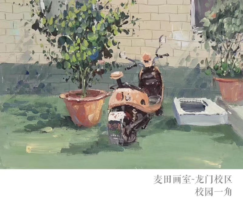 麦田老师作品展示